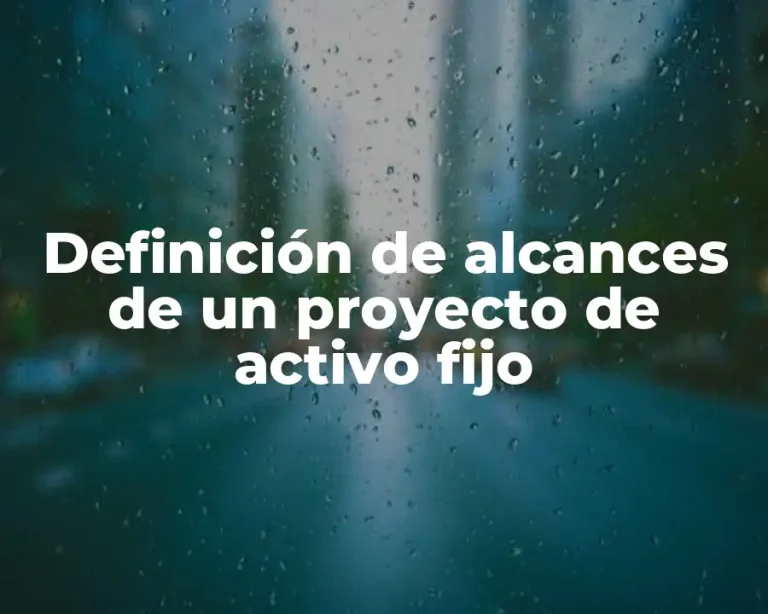 Definición de alcances de un proyecto de activo fijo