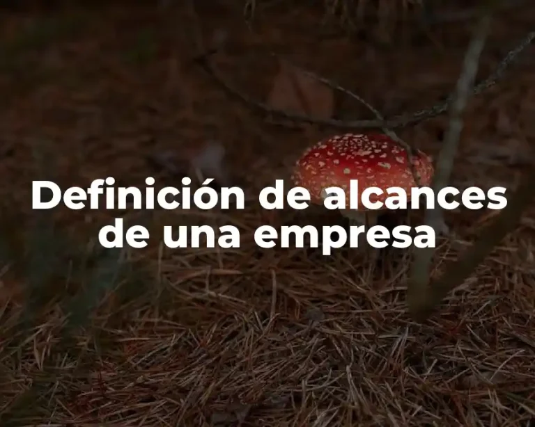 Definición de alcances de una empresa