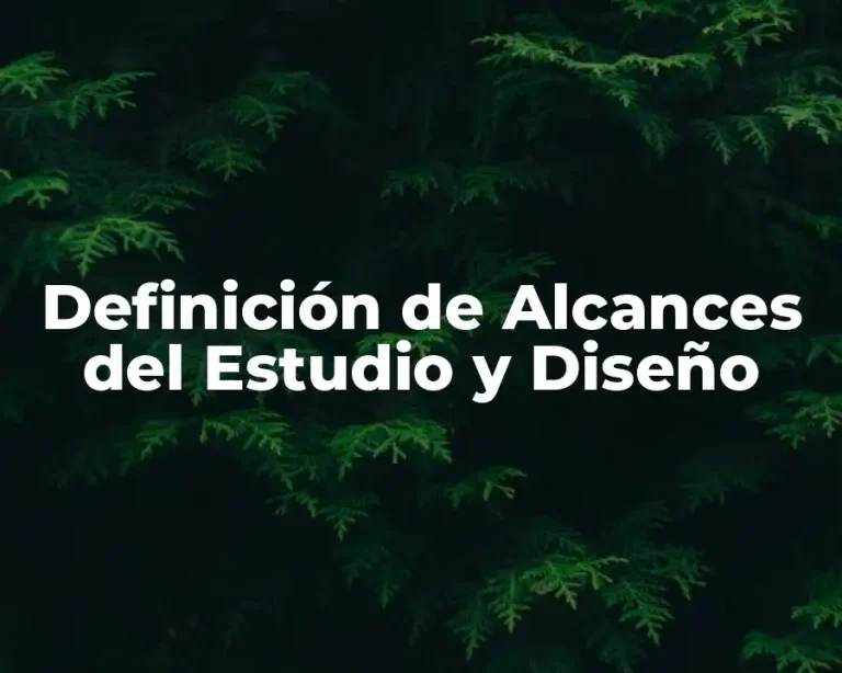 Definición de Alcances del Estudio y Diseño