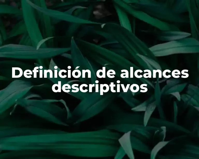 Definición de alcances descriptivos