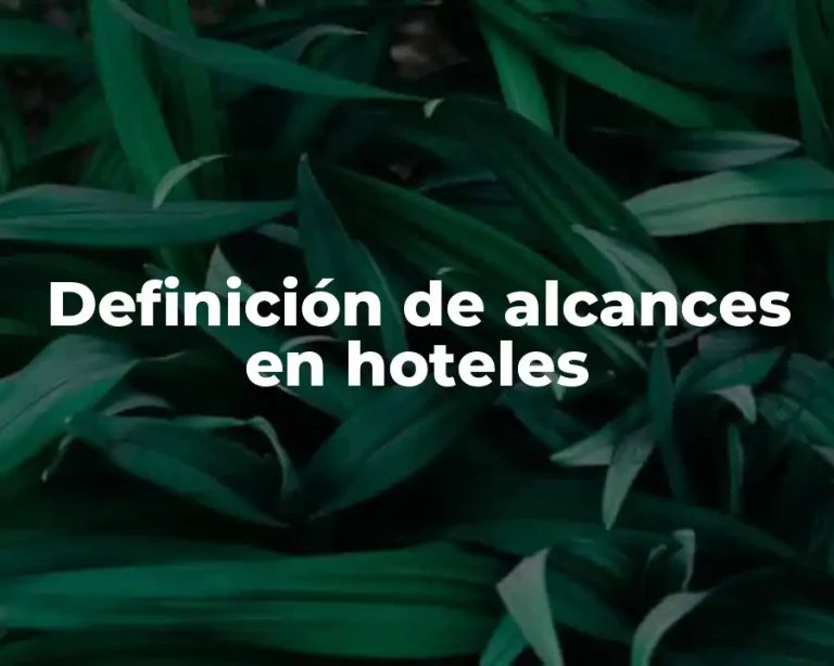 Definición de alcances en hoteles