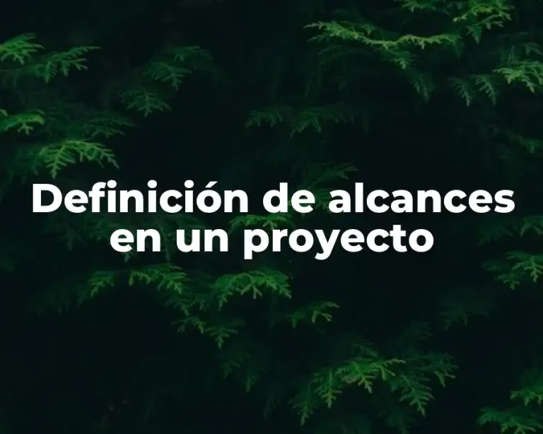 Definición de alcances en un proyecto