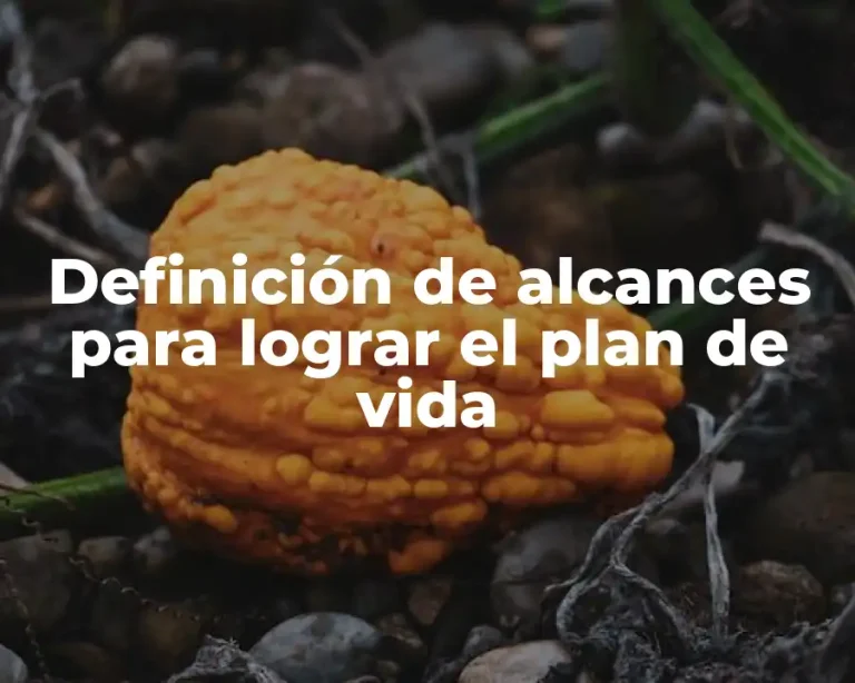 Definición de alcances para lograr el plan de vida