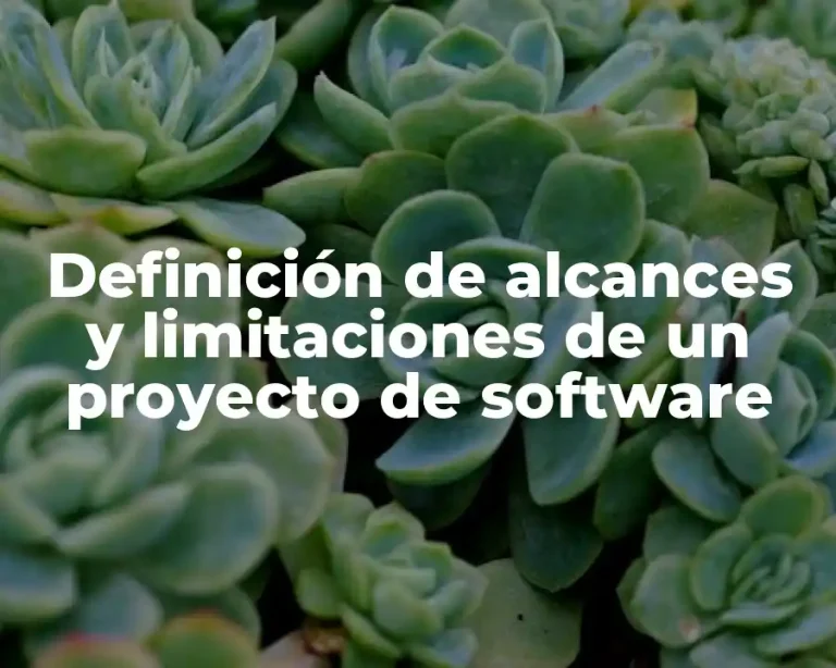 Definición de alcances y limitaciones de un proyecto de software