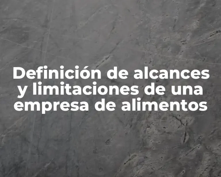 Definición de alcances y limitaciones de una empresa de alimentos