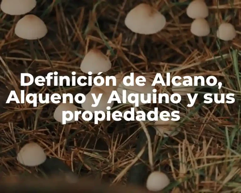 Definición de Alcano, Alqueno y Alquino y sus propiedades