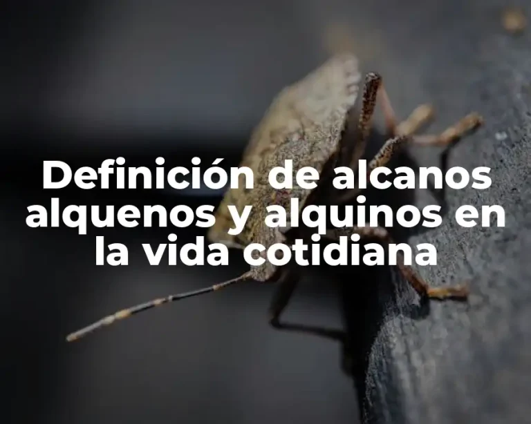 Definición de alcanos alquenos y alquinos en la vida cotidiana