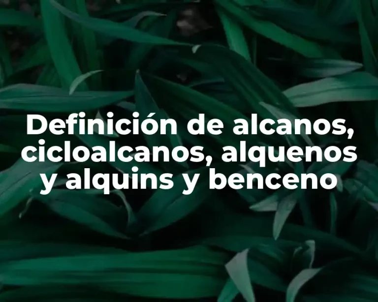 Definición de alcanos, cicloalcanos, alquenos y alquins y benceno