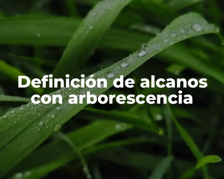 Definición de alcanos con arborescencia