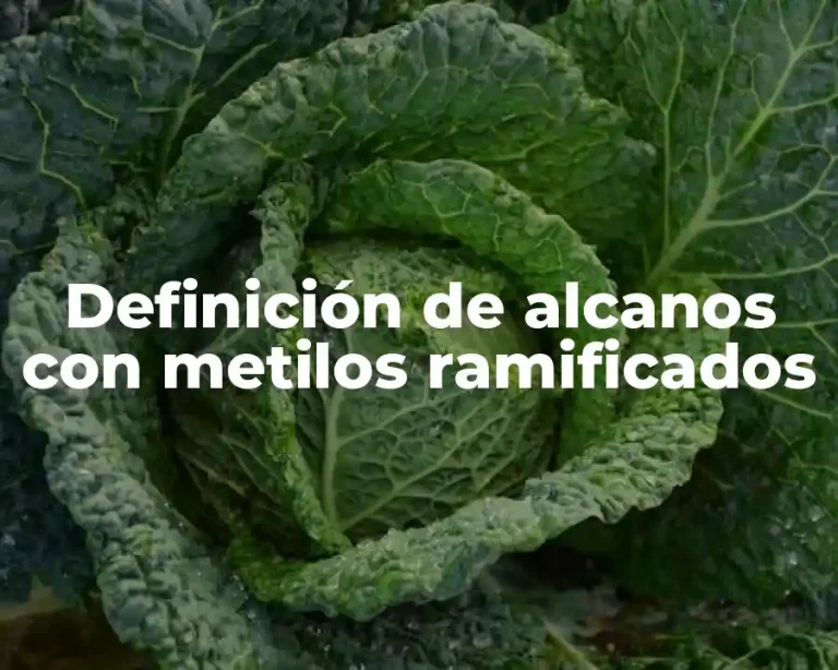 Definición de alcanos con metilos ramificados