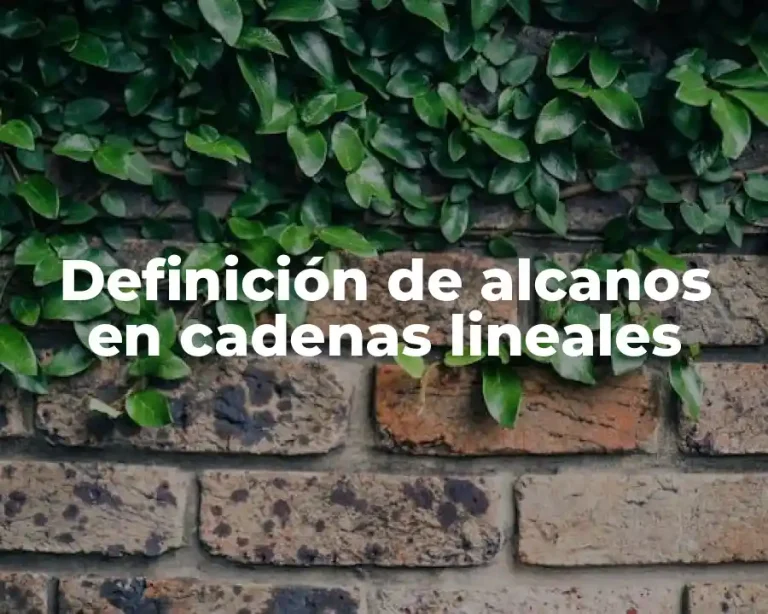 Definición de alcanos en cadenas lineales