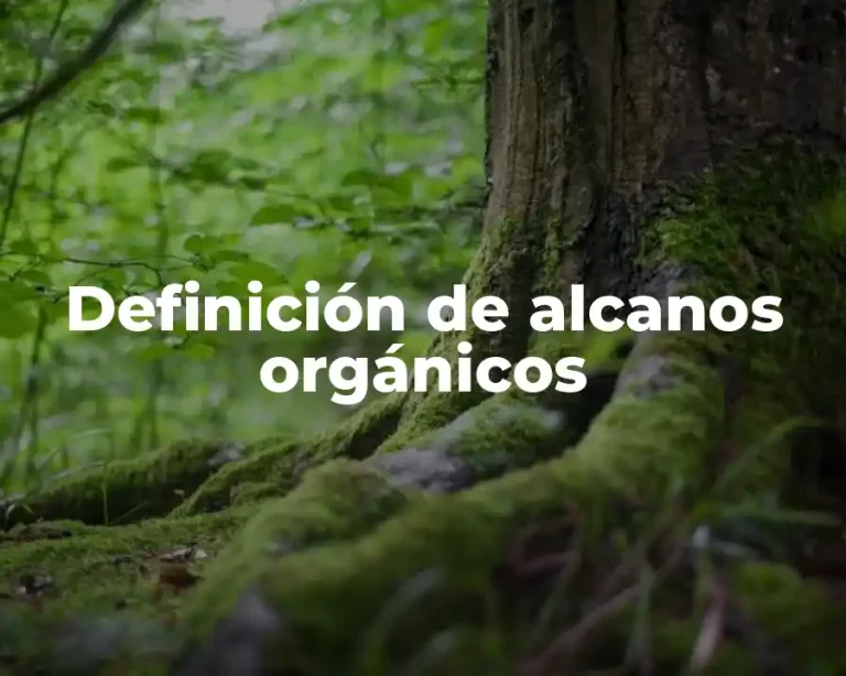 Definición de alcanos orgánicos