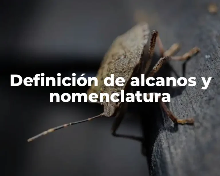 Definición de alcanos y nomenclatura