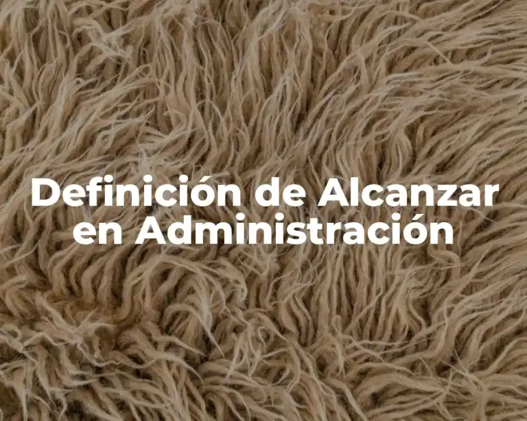 Definición de Alcanzar en Administración
