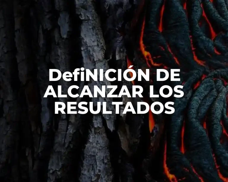 DefiNICIÓN DE ALCANZAR LOS RESULTADOS
