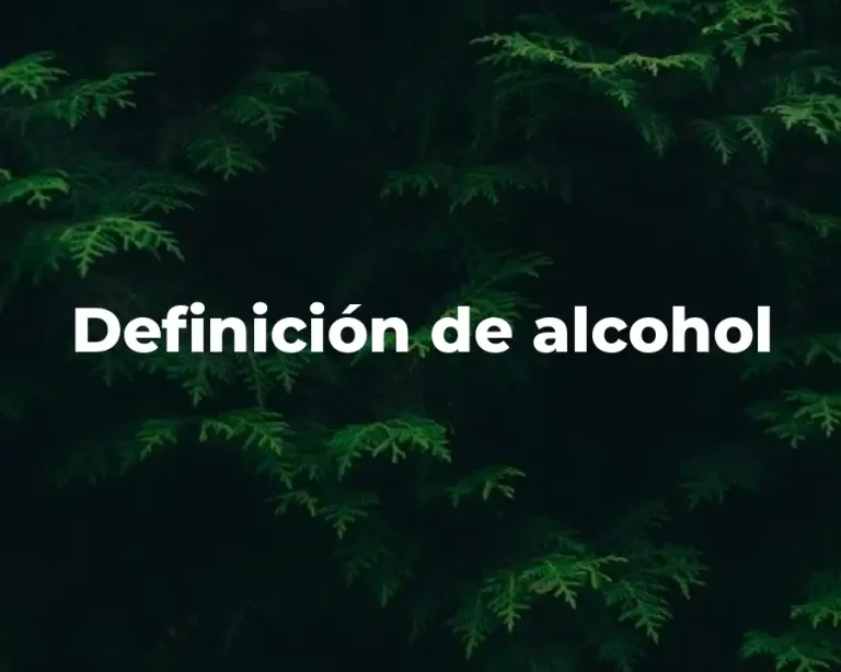 Definición de alcohol