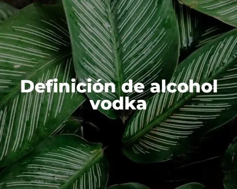 Definición de alcohol vodka