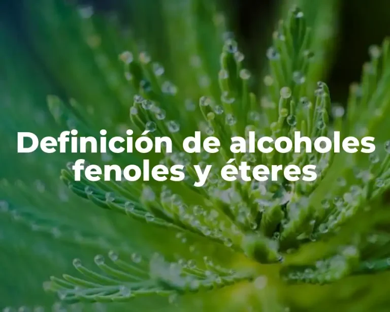 Definición de alcoholes fenoles y éteres