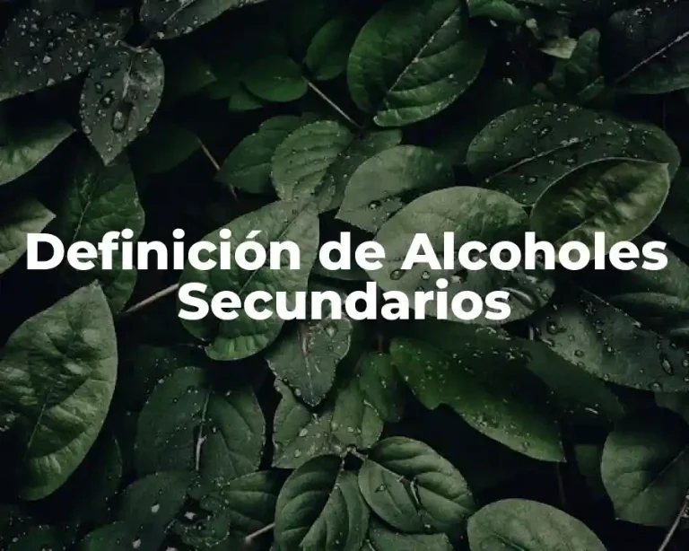 Definición de Alcoholes Secundarios