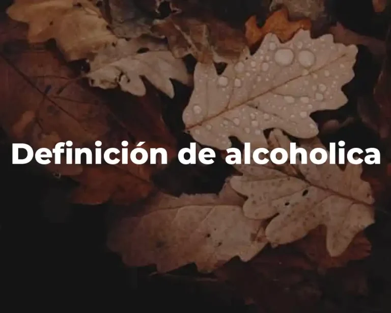 Definición de alcoholica