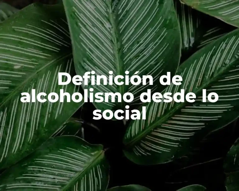Definición de alcoholismo desde lo social