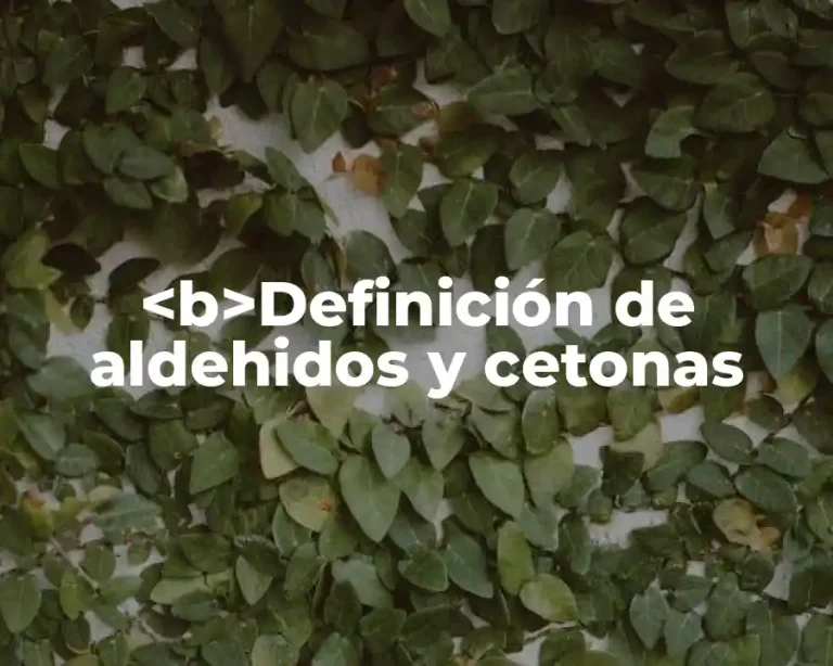<b>Definición de aldehidos y cetonas