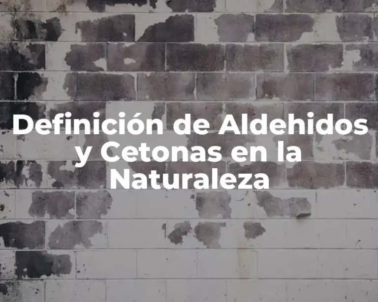 Definición de Aldehidos y Cetonas en la Naturaleza
