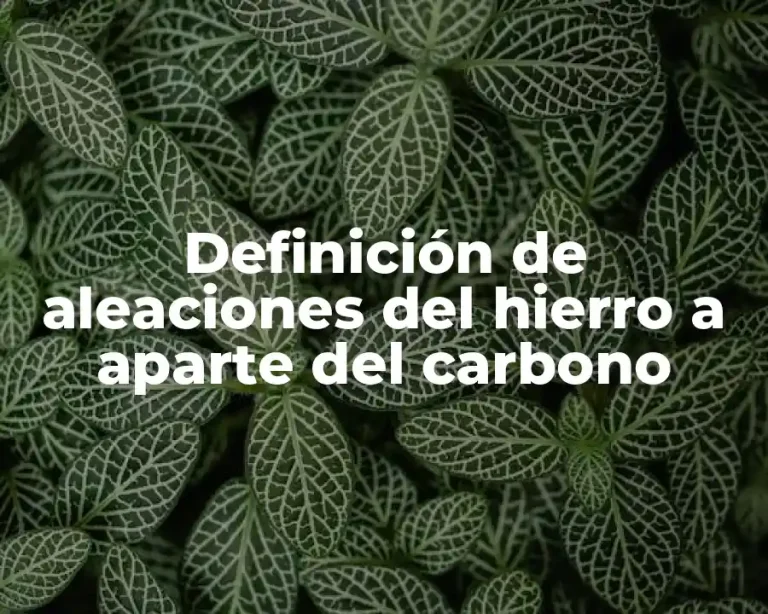 Definición de aleaciones del hierro a aparte del carbono
