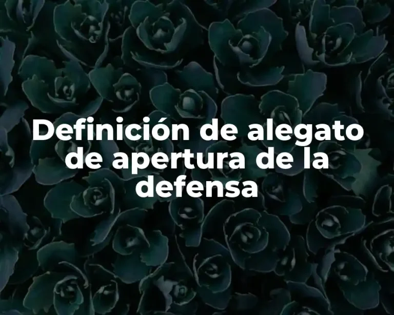 Definición de alegato de apertura de la defensa