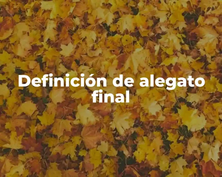 Definición de alegato final