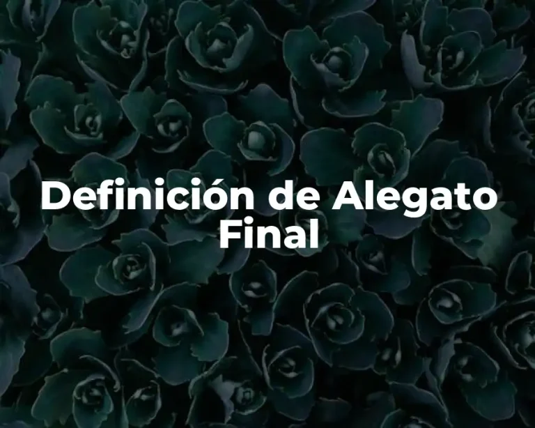 Definición de Alegato Final