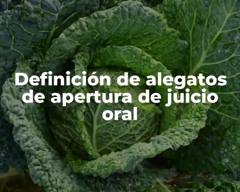 Definición de alegatos de apertura de juicio oral