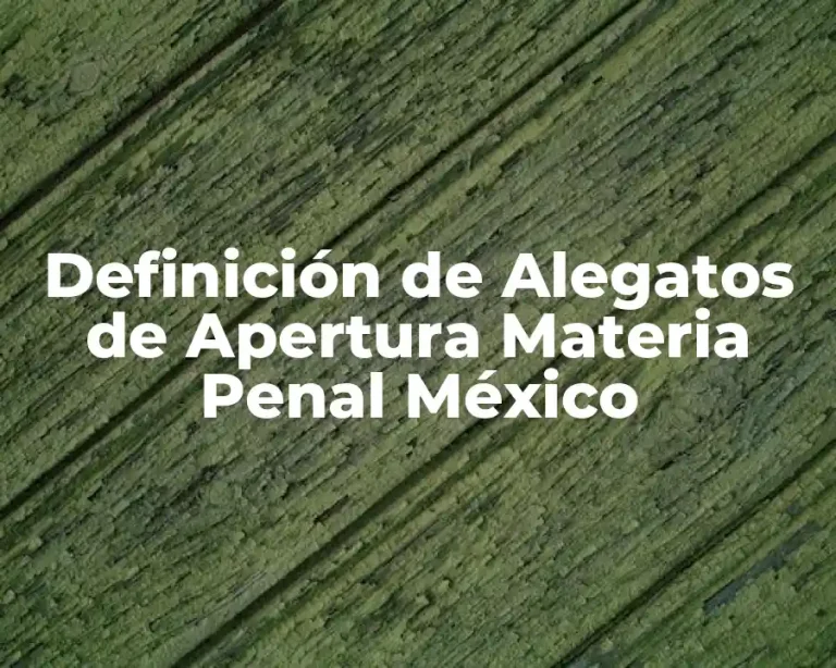 Definición de Alegatos de Apertura Materia Penal México