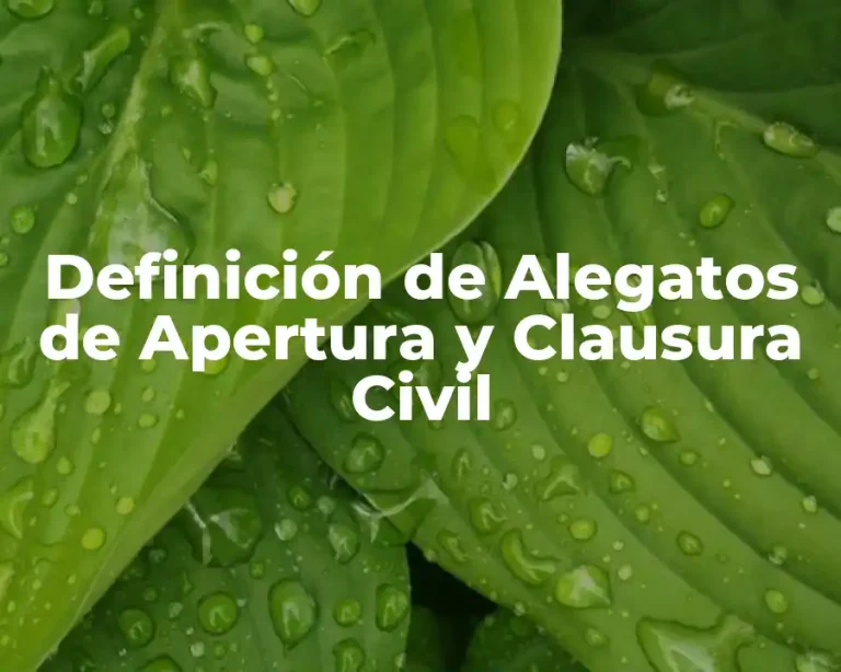 Definición de Alegatos de Apertura y Clausura Civil