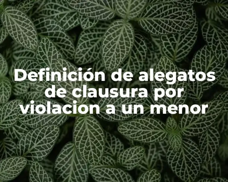 Definición de alegatos de clausura por violacion a un menor