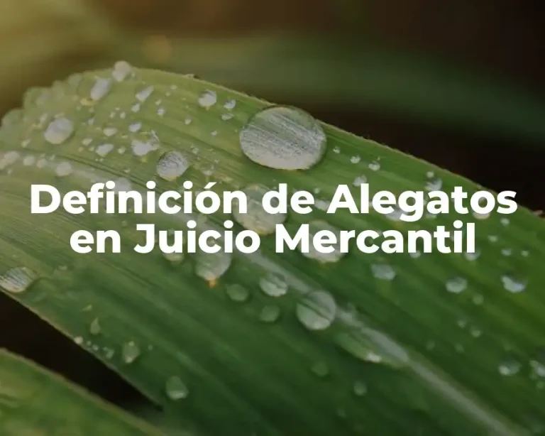 Definición de Alegatos en Juicio Mercantil
