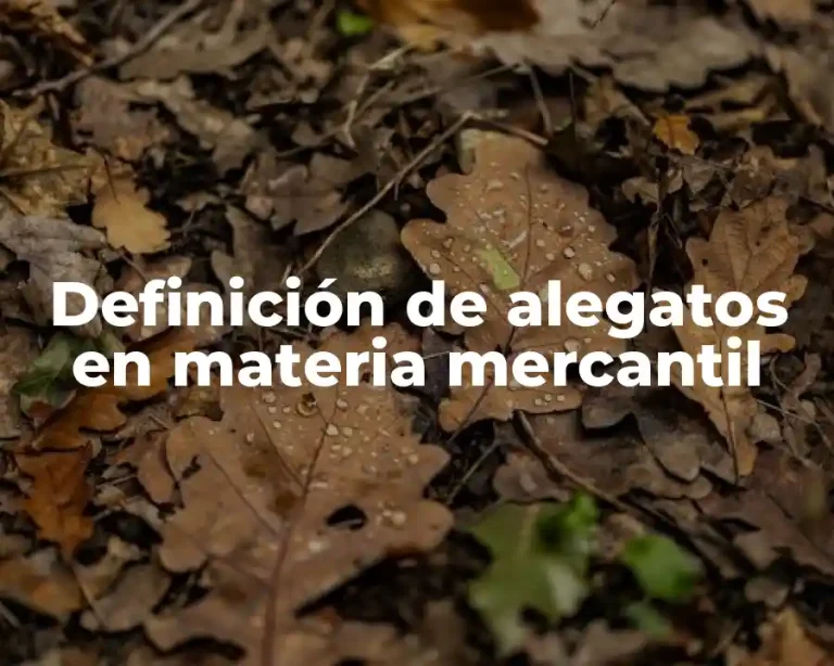 Definición de alegatos en materia mercantil