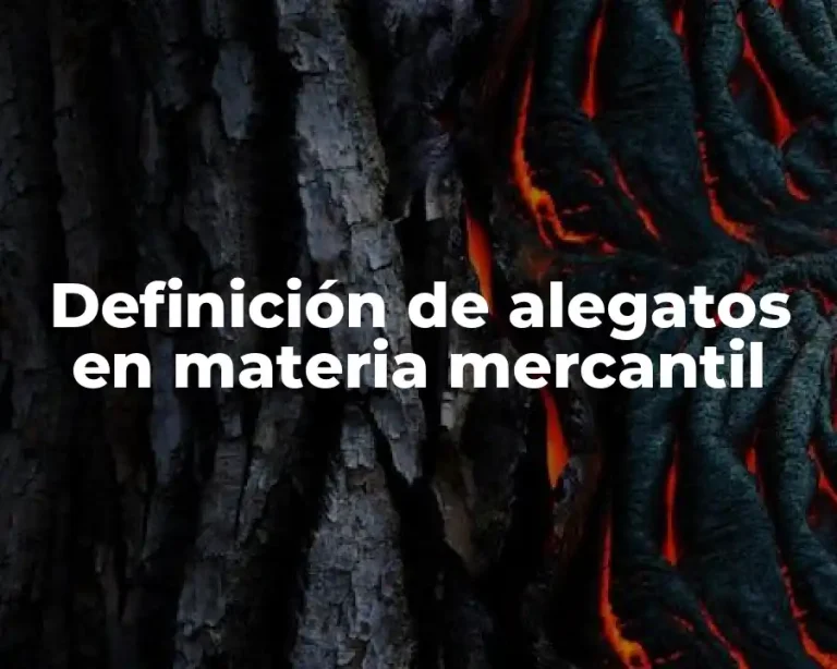 Definición de alegatos en materia mercantil