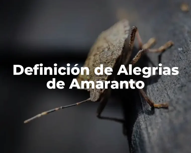 Definición de Alegrias de Amaranto