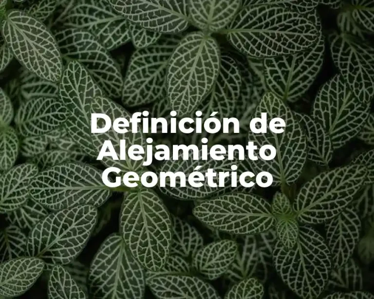 Definición de Alejamiento Geométrico