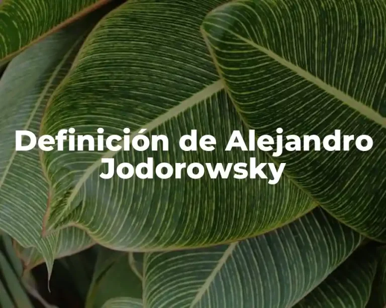 Definición de Alejandro Jodorowsky