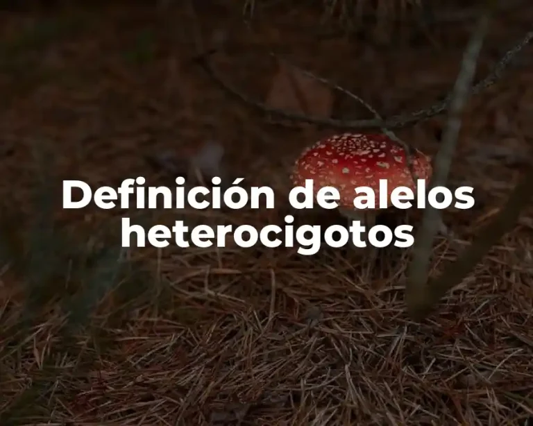 Definición de alelos heterocigotos