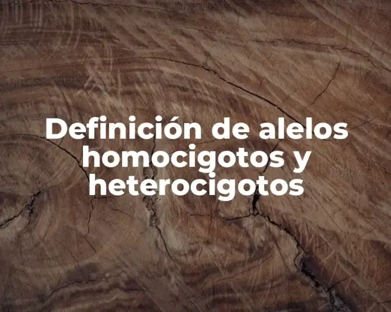 Definición de alelos homocigotos y heterocigotos