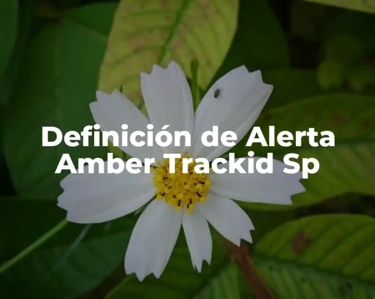 Definición de Alerta Amber Trackid Sp