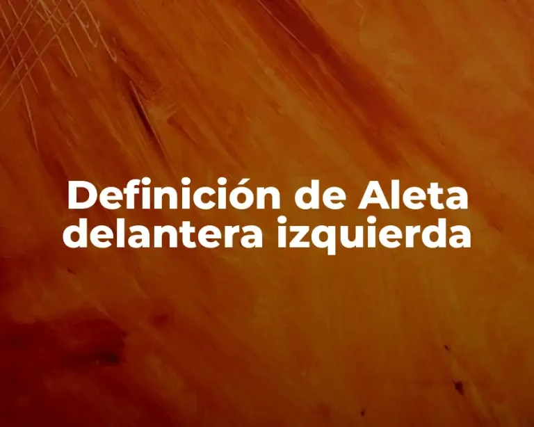Definición de Aleta delantera izquierda