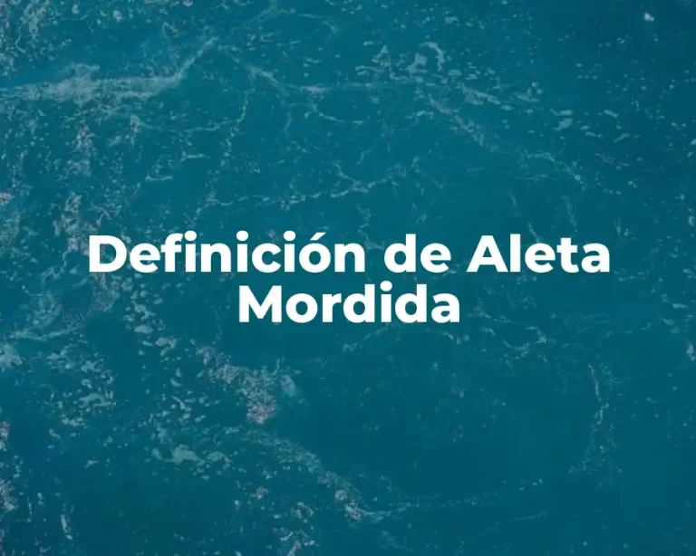 Definición de Aleta Mordida