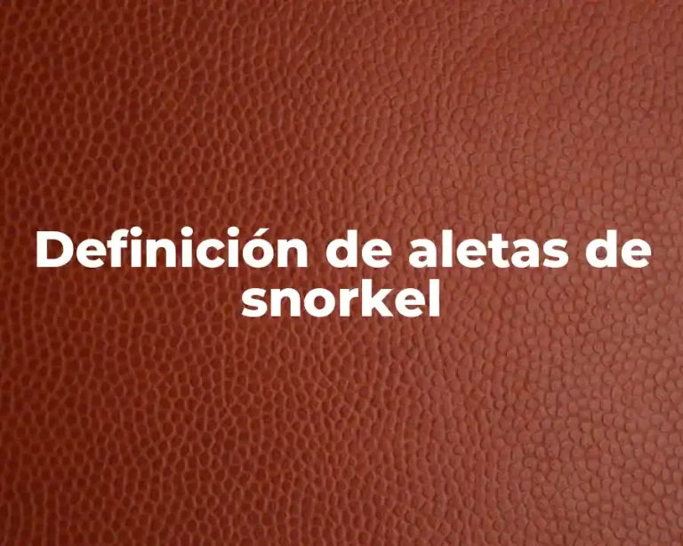 Definición de aletas de snorkel