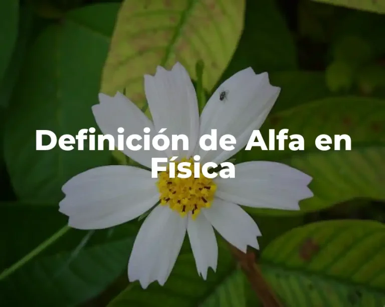 Definición de Alfa en Física