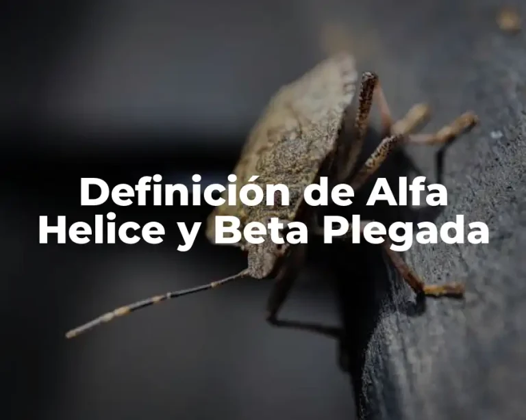 Definición de Alfa Helice y Beta Plegada
