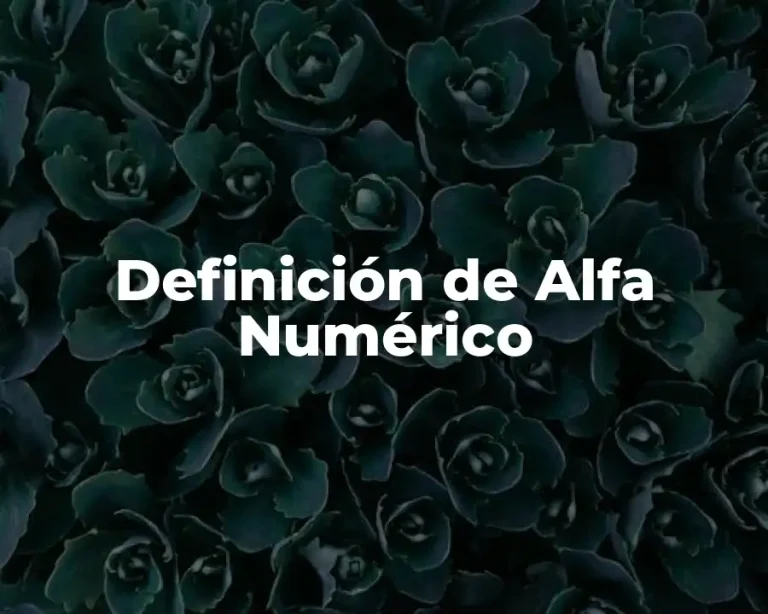 Definición de Alfa Numérico